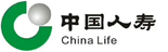 中国人寿：全行级报表系统