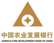 中国农业开展银行：综合报表平台